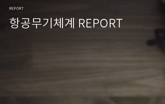 항공무기체계 REPORT