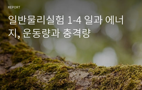 일반물리실험 1-4 일과 에너지, 운동량과 충격량