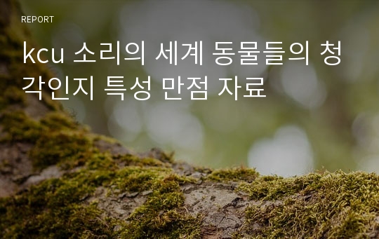 kcu 소리의 세계 동물들의 청각인지 특성 만점 자료