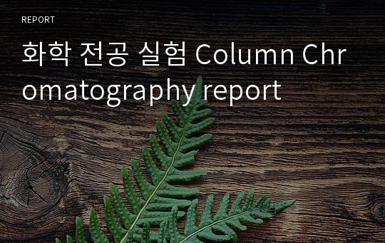 화학 전공 실험 Column Chromatography report