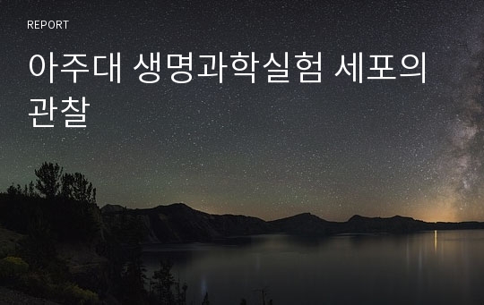 아주대 생명과학실험 세포의 관찰