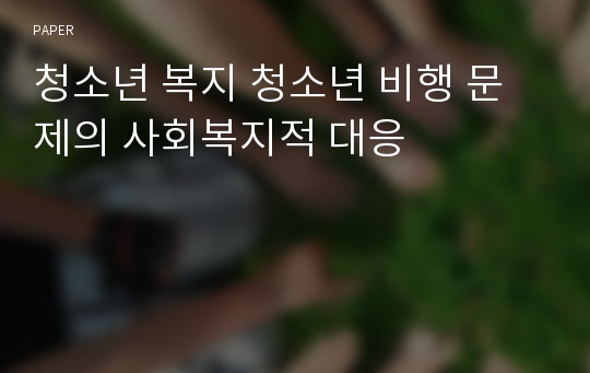 청소년 복지 청소년 비행 문제의 사회복지적 대응