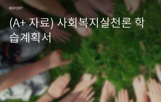 (A+ 자료) 사회복지실천론 학습계획서