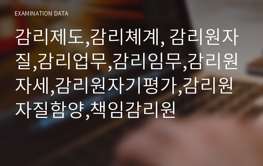 감리제도,감리쳬계, 감리원자질,감리업무,감리임무,감리원자세,감리원자기평가,감리원자질함양,책임감리원