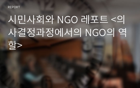 시민사회와 NGO 레포트 &lt;의사결정과정에서의 NGO의 역할&gt;