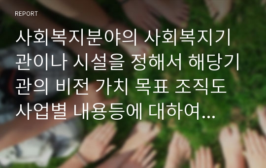 사회복지분야의 사회복지기관이나 시설을 정해서 해당기관의 비전 가치 목표 조직도 사업별 내용등에 대하여 정리하시오.