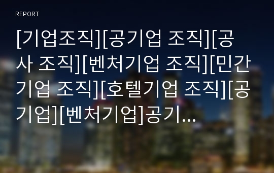 [기업조직][공기업 조직][공사 조직][벤처기업 조직][민간기업 조직][호텔기업 조직][공기업][벤처기업]공기업(공사) 조직, 벤처기업 조직, 민간기업 조직, 호텔기업 조직 분석