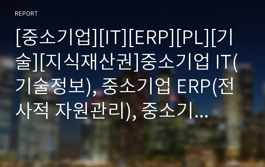 [중소기업][IT][ERP][PL][기술][지식재산권]중소기업 IT(기술정보), 중소기업 ERP(전사적 자원관리), 중소기업 PL(제조물책임법),중소기업 기술,중소기업 지식재산권