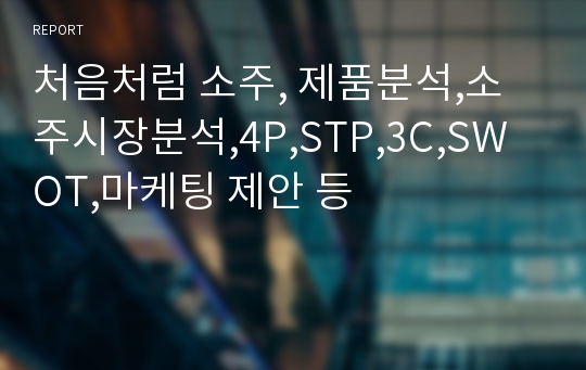 처음처럼 소주, 제품분석,소주시장분석,4P,STP,3C,SWOT,마케팅 제안 등