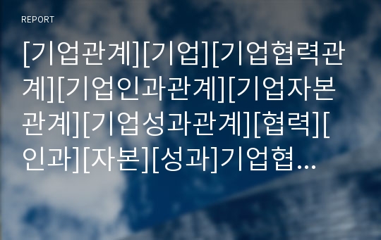 [기업관계][기업][기업협력관계][기업인과관계][기업자본관계][기업성과관계][협력][인과][자본][성과]기업협력관계, 기업인과관계, 기업자본관계, 기업성과관계 분석(기업관계)