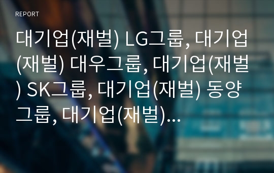 대기업(재벌) LG그룹, 대기업(재벌) 대우그룹, 대기업(재벌) SK그룹, 대기업(재벌) 동양그룹, 대기업(재벌) 롯데그룹, 대기업(재벌) 두산그룹, 대기업(재벌) 한화그룹 분석