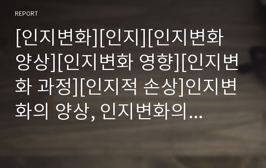 [인지변화][인지][인지변화 양상][인지변화 영향][인지변화 과정][인지적 손상]인지변화의 양상, 인지변화의 영향, 인지변화의 과정, 인지변화의 인지적 손상,인지변화 인지적 차원