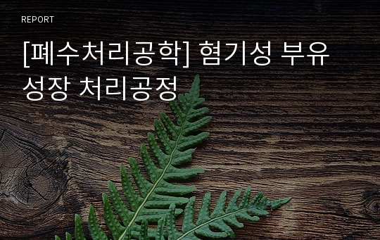 [폐수처리공학] 혐기성 부유성장 처리공정