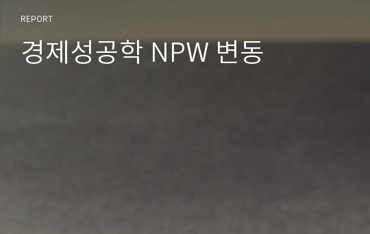 경제성공학 NPW 변동