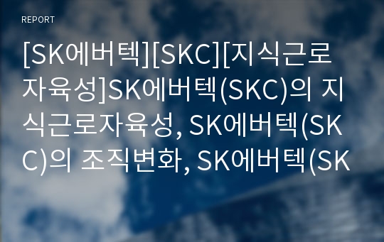 [SK에버텍][SKC][지식근로자육성]SK에버텍(SKC)의 지식근로자육성, SK에버텍(SKC)의 조직변화, SK에버텍(SKC)의 성과보상, 향후 SK에버텍(SKC)의 발전 방안