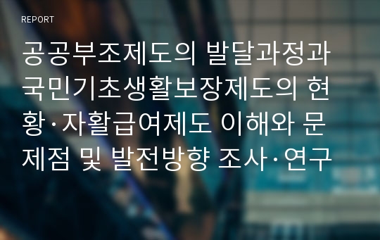 공공부조제도의 발달과정과 국민기초생활보장제도의 현황·자활급여제도 이해와 문제점 및 발전방향 조사·연구 리포트A+