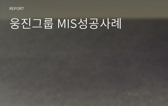 웅진그룹 MIS성공사례