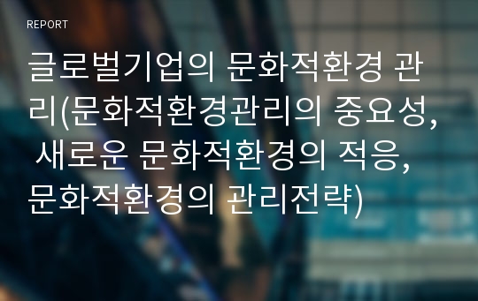 글로벌기업의 문화적환경 관리(문화적환경관리의 중요성, 새로운 문화적환경의 적응, 문화적환경의 관리전략)