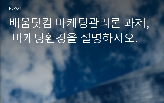 배움닷컴 마케팅관리론 과제, 마케팅환경을 설명하시오.