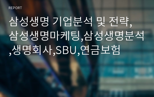 삼성생명 기업분석 및 전략,삼성생명마케팅,삼성생명분석,생명회사,SBU,연금보험