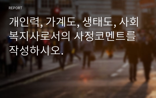 개인력, 가계도, 생태도, 사회복지사로서의 사정코멘트를 작성하시오.