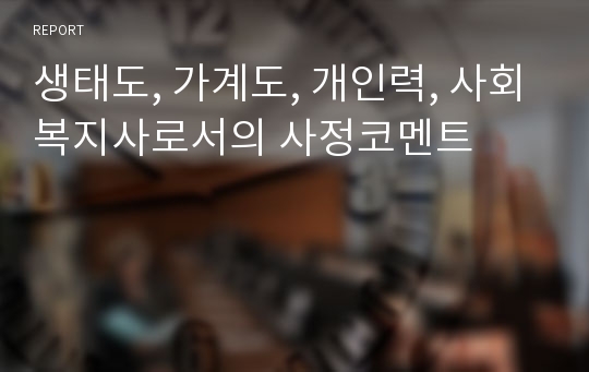 생태도, 가계도, 개인력, 사회복지사로서의 사정코멘트