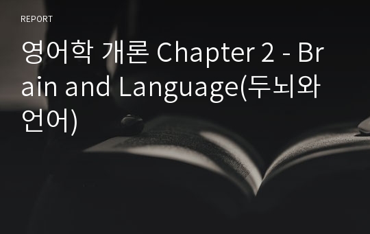 영어학 개론 Chapter 2 - Brain and Language(두뇌와 언어)