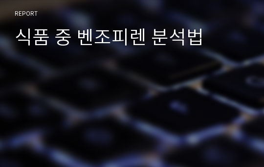 식품 중 벤조피렌 분석법