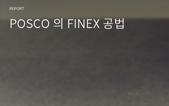 POSCO 의 FINEX 공법