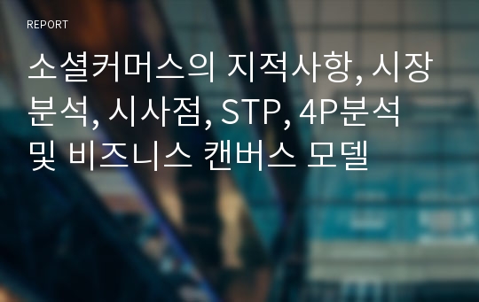 소셜커머스의 지적사항, 시장분석, 시사점, STP, 4P분석 및 비즈니스 캔버스 모델