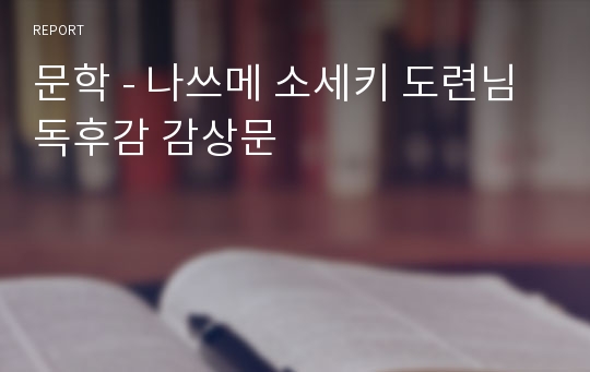 문학 - 나쓰메 소세키 도련님 독후감 감상문