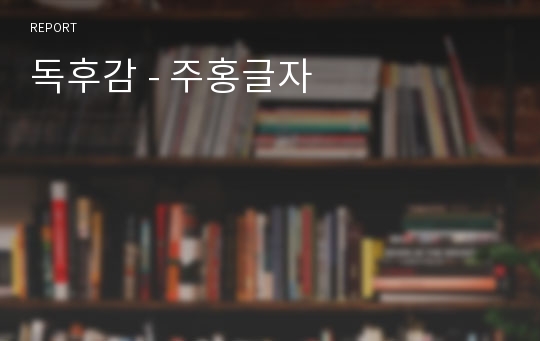 독후감 - 주홍글자