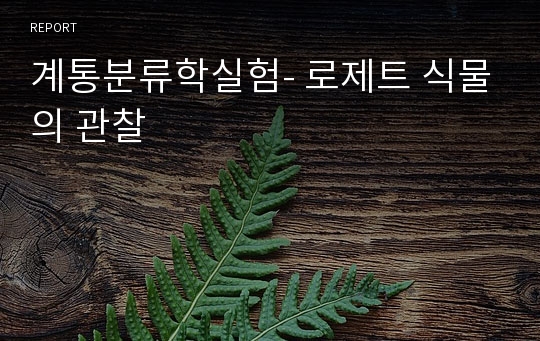 계통분류학실험- 로제트 식물의 관찰