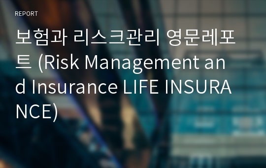 보험과 리스크관리 영문레포트 (Risk Management and Insurance LIFE INSURANCE)