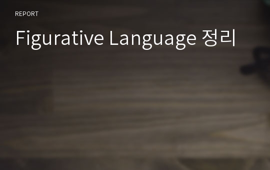 Figurative Language 정리