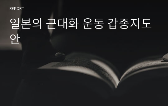 일본의 근대화 운동 갑종지도안