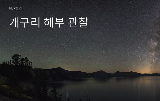 개구리 해부 관찰