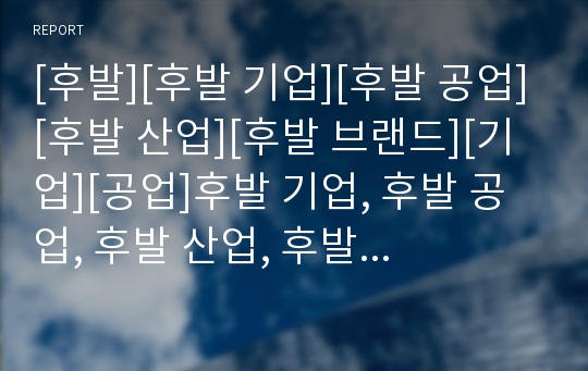 [후발][후발 기업][후발 공업][후발 산업][후발 브랜드][기업][공업]후발 기업, 후발 공업, 후발 산업, 후발 브랜드(후발 기업, 후발 공업, 후발 산업, 후발 브랜드)