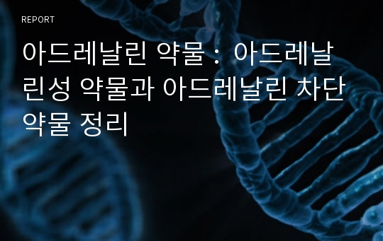 아드레날린 약물 :  아드레날린성 약물과 아드레날린 차단약물 정리