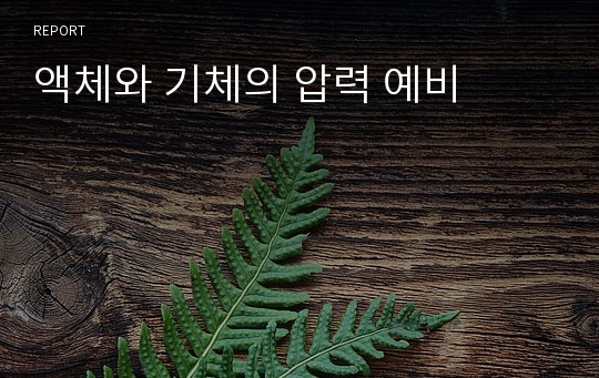 액체와 기체의 압력 예비