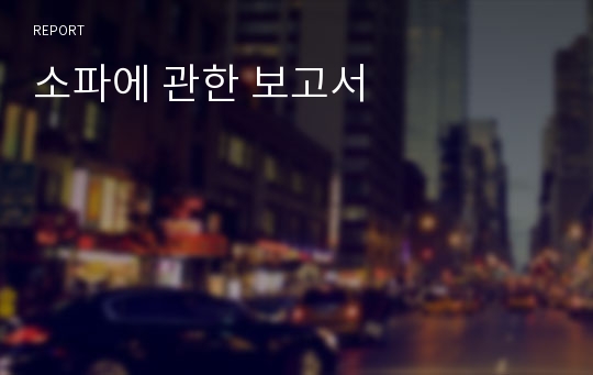 소파에 관한 보고서