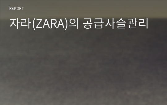 자라(ZARA)의 공급사슬관리