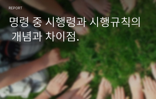 명령 중 시행령과 시행규칙의 개념과 차이점.