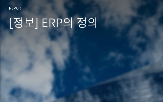 [정보] ERP의 정의