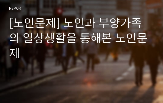 [노인문제] 노인과 부양가족의 일상생활을 통해본 노인문제