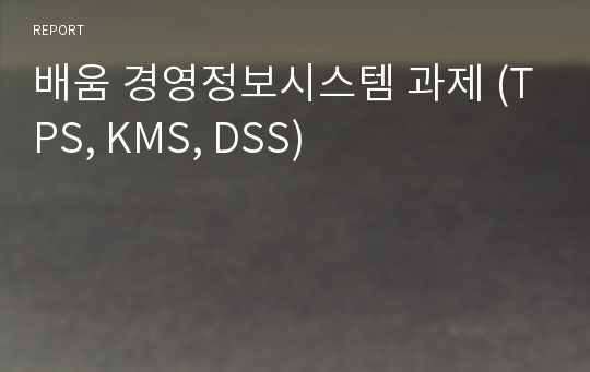 배움 경영정보시스템 과제 (TPS, KMS, DSS)