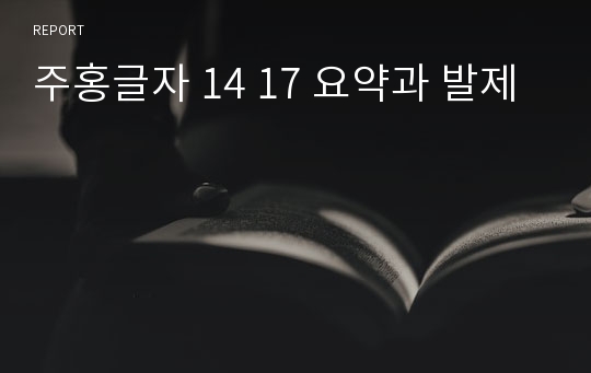 주홍글자 14 17 요약과 발제