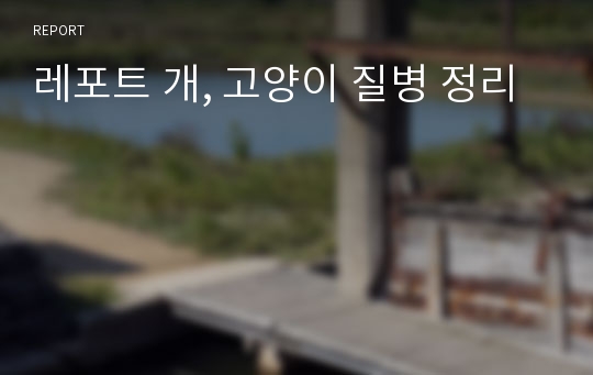 레포트 개, 고양이 질병 정리