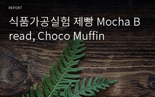 식품가공실험 제빵 Mocha Bread, Choco Muffin