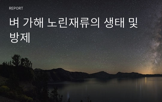 벼 가해 노린재류의 생태 및 방제